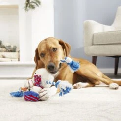 Frisco Holiday Snowman Plush With Rope Squeaky Dog Toy & Frisco Holiday Reindeer Plush With Rope Squeaky Dog Toy -Pet Care Sales 986174 PT4. AC SS1800 V1698258345