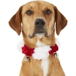 Frisco Jingle Bells Dog & Cat Holiday Collar With Bells, 1 Count & Frisco Holiday Antler Headband & Bell Collar Dog & Cat Costume -Pet Care Sales 986294 PT3. AC SS1800 V1698257734