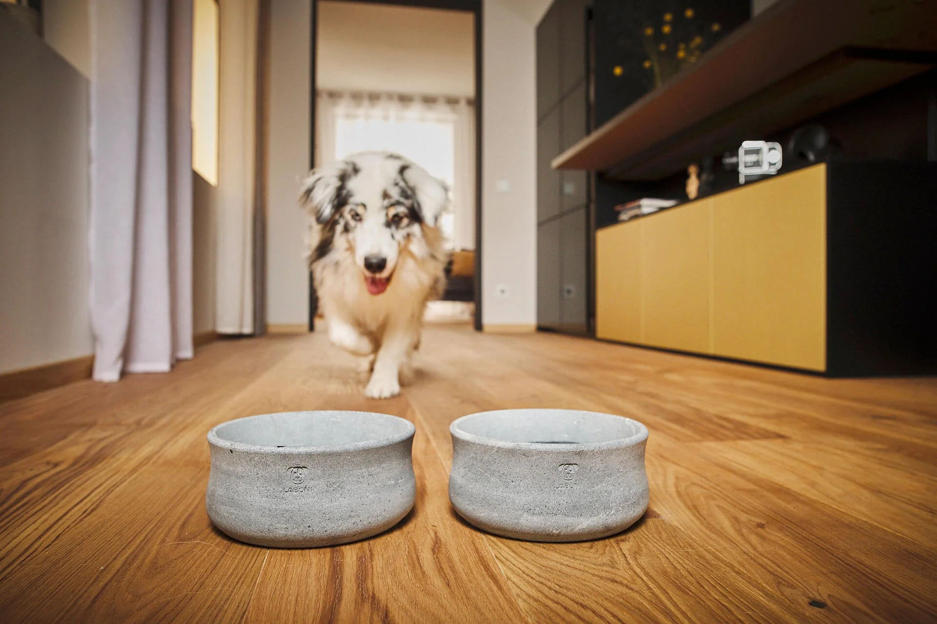 Pet Care Sales -Pet Care Sales Laboni Soapstone Dog Cat Bowl Rocky Pet Bowls Feeders Waterers Laboni Silver Circle Pets h15g